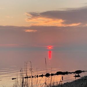 Meet your Posher, Dave